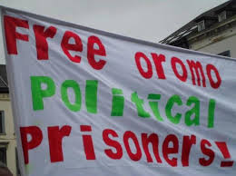 File: April 2013- Voice of Diaspora Oromo, Belgium, against injustice in Oromia