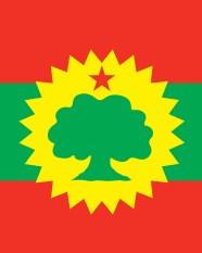 This Flag Honors Oromo Heroes Advocacy For Oromia