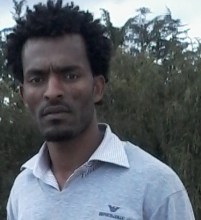 nimoona-e1431757656135