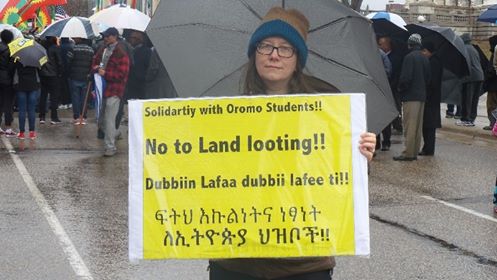 Amy Elliott Van Steenwyk