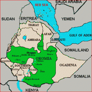 oromia21-300x300