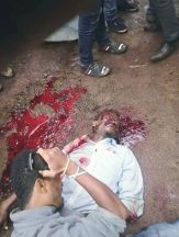 13901418_10208996268135628_4337007326945099070_n