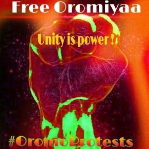 13906710_10153642327756244_1379881615114178312_n