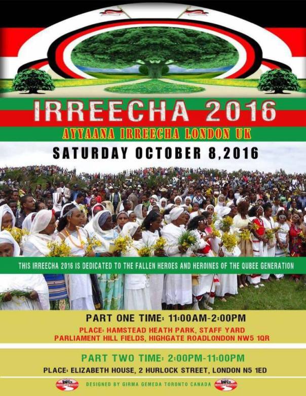 14322266_1548728795152993_2572631444890098115_n