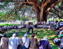 The Unfinished Project: Language, Liberation, and the Oromo Struggle for Epistemic&nbsp;Freedom