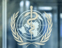 U.S. Withdrawal from WHO: Impacts on Global Health&nbsp;Cooperation
