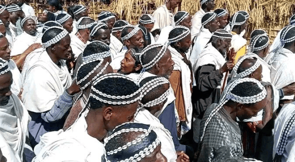 Gaedaa System Dabballee: The First Grade of the Gadaa System, Where Oromo Leadership ...