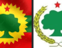 “Our Name is ‘Oromo Liberation Front.’ Freedom from&nbsp;Whom?”