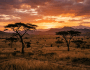 Take Me to Borana: Where the Earth Speaks and the Soul&nbsp;Listens