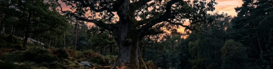 Large tree with glowing roots in a forest under a twilight sky with stars