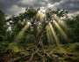 The Next 50 Years: Honouring the Past, Building the&nbsp;Future