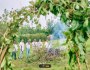 Ifaanoo: Welcoming the Season of&nbsp;Light