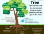 UNDERSTANDING THE TRAUMA&nbsp;TREE