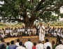 Under the Odaa Tree: The Living Legacy of the Ituu&nbsp;Oromo