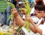 Why Fresh Grass and Water Are Essential in Oromo&nbsp;Blessings