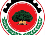 Oromia Restructures: Six New Administrative Clusters and Their&nbsp;Administrators