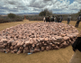 A Giant Returns to the Soil: Abbaa Gadaa Liiban Jaldessa Laid to Rest in Areero&nbsp;(1967-2026)
